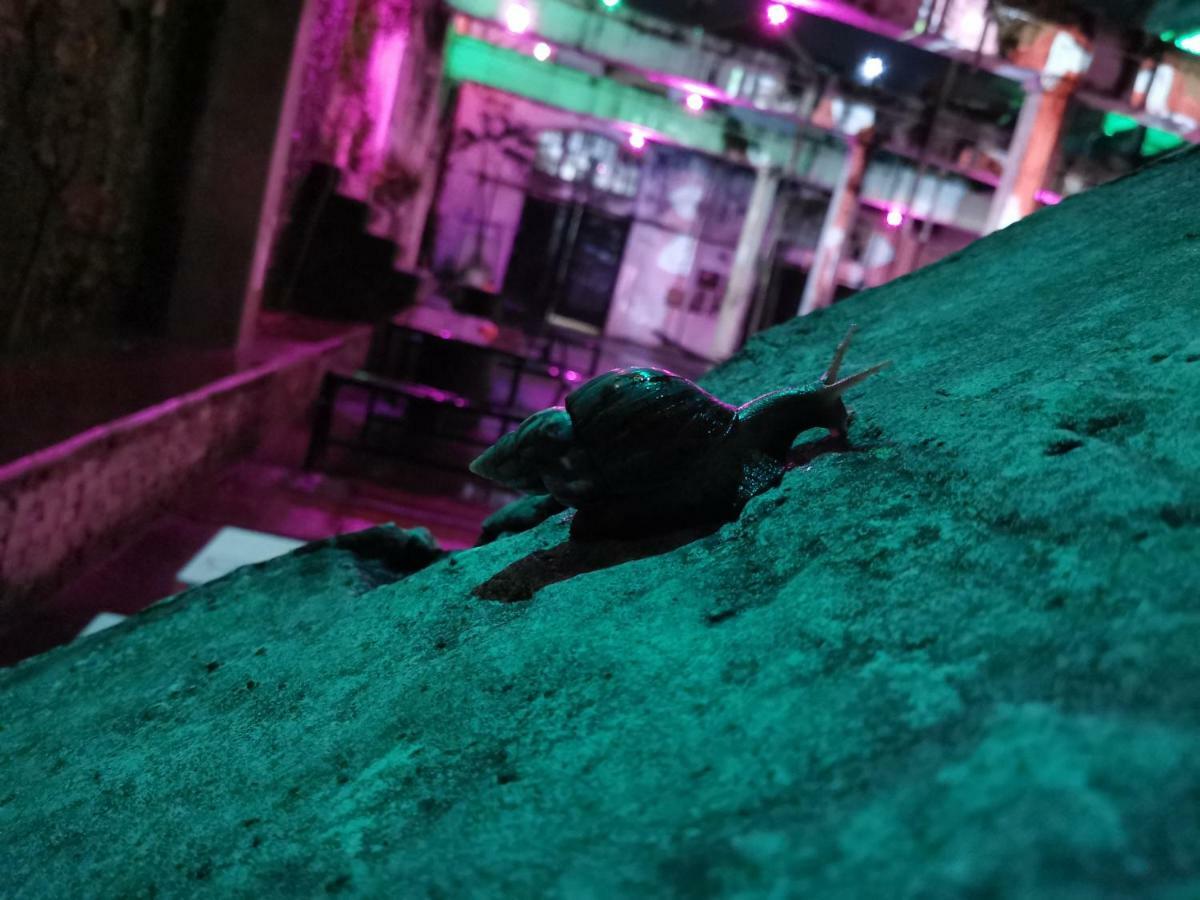 Bat & Arrow Otel Padang  Dış mekan fotoğraf